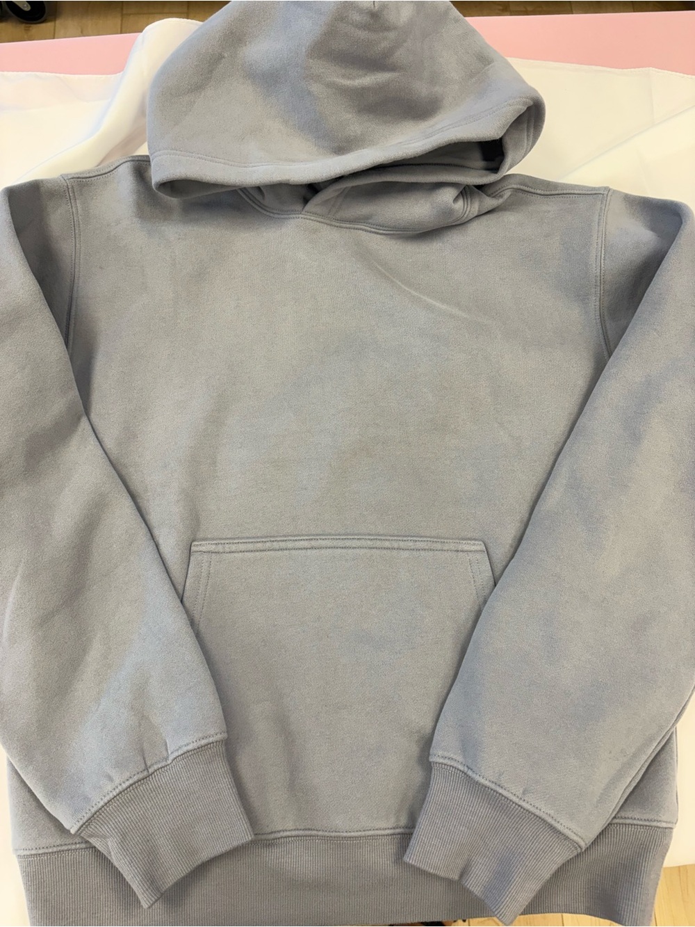 NWT aritzia sweatfleece hoodie